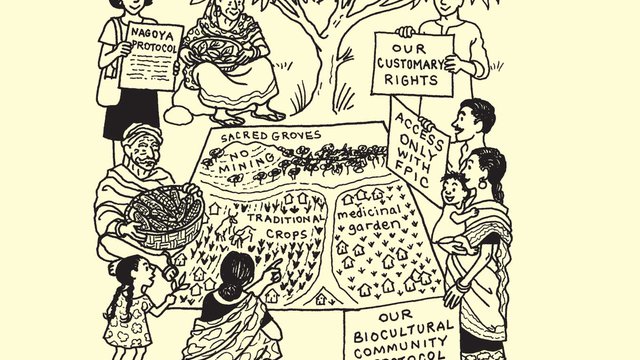 Biodiversity and Culture: Exploring Community Protocols, Rights and Consent