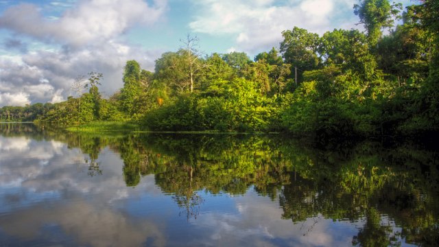 Case study Mining in indigenous territories of the Guainia in the Orinoquia and the Colombian Amazon