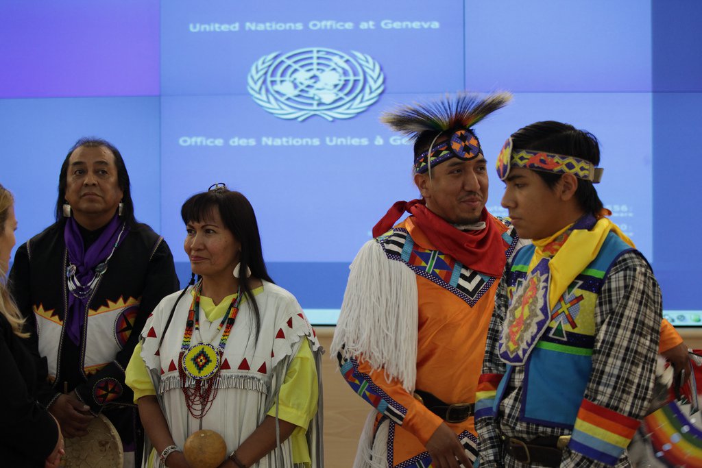 Civil Society Participation in International Decision Making: Recent Developments and Future Perspectives in the Indigenous Rights Arena