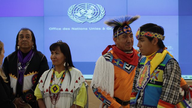 Civil Society Participation in International Decision Making: Recent Developments and Future Perspectives in the Indigenous Rights Arena