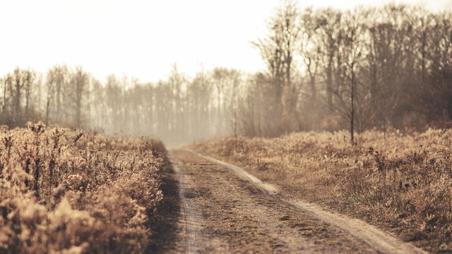 Compensating state and new extractivisms. The ambivalences of South American progressivism.