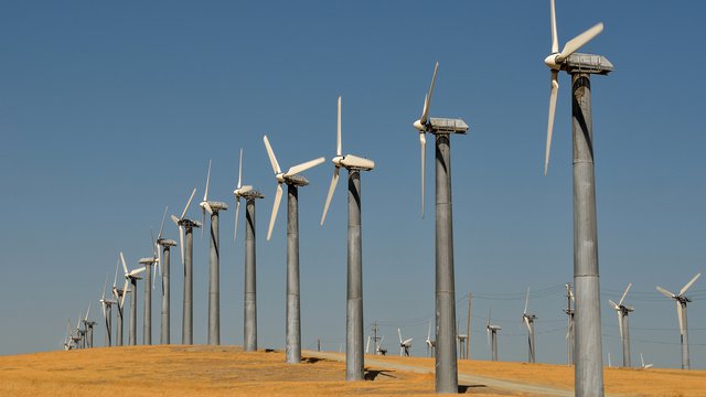 Development without Conflict: The Business Case for Community Consent