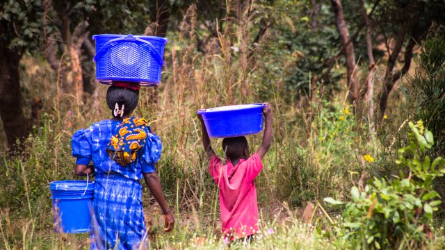 FSC guidelines for the implementation of the right to free, prior and informed consent (FPIC)