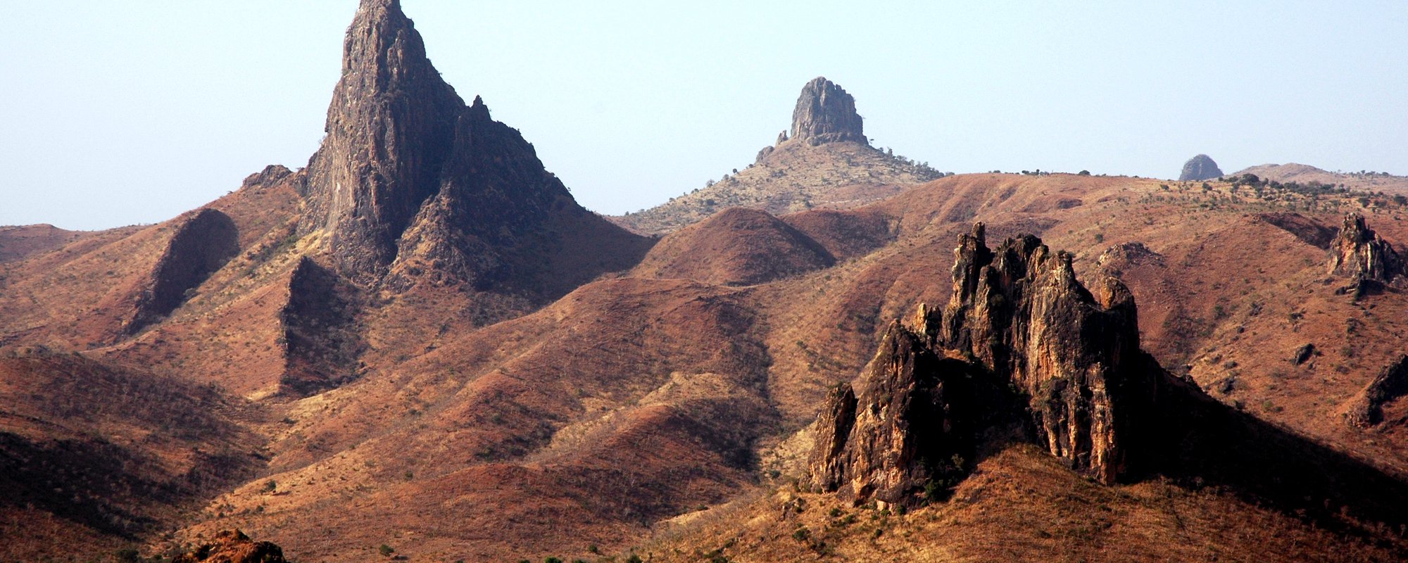 Included or Excluded: An Analysis of the Application of the Free, Prior and Informed Consent Principles in Land Grabbing Cases in Cameroon