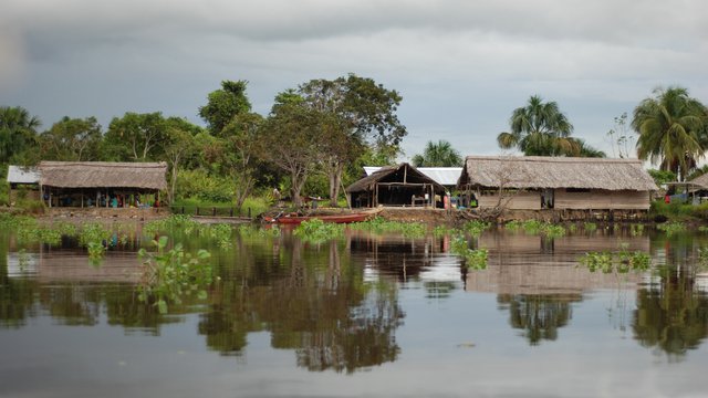 Joint report: Human rights in the context of the project "Orinoco mining arch" in Venezuela
