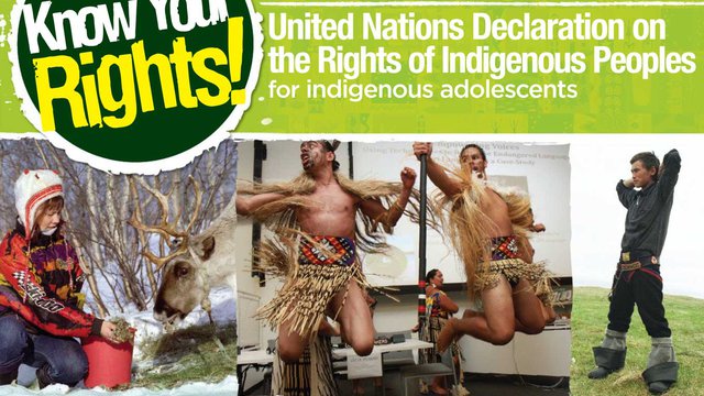 Know Your Rights: United Nations Declaration on the Rights of Indigenous Peoples for Adolescents
