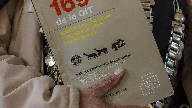 Law N° 234/93 approving ILO Convention 169