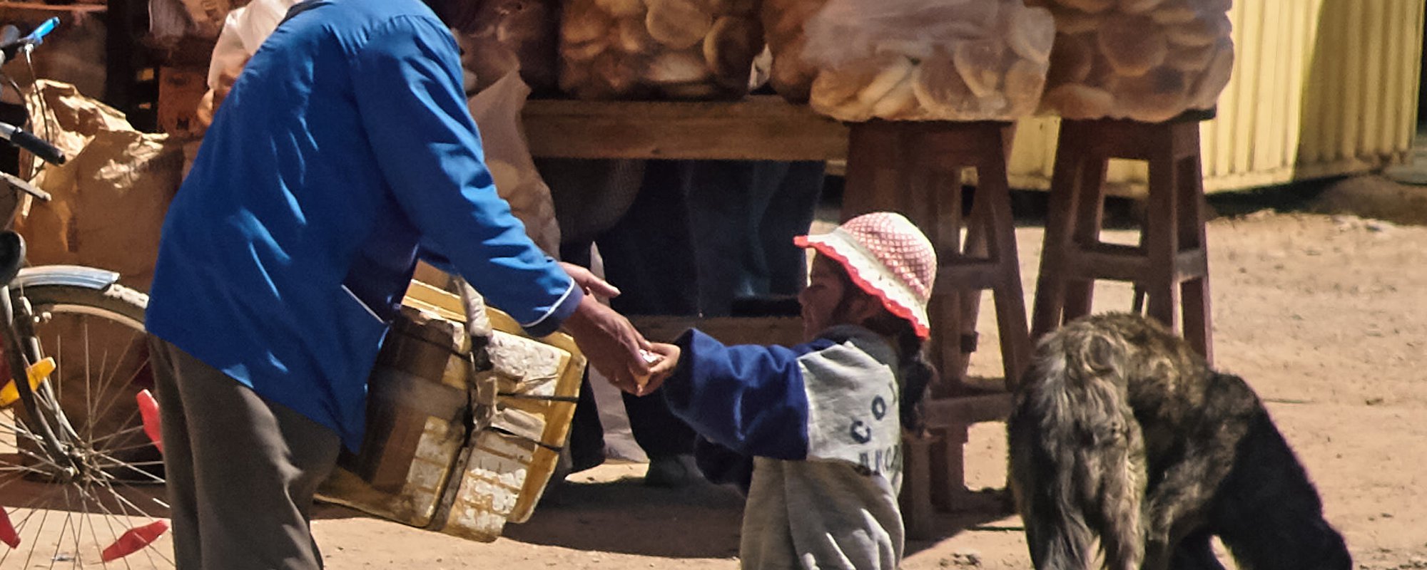 Law of prior consultation Bolivia