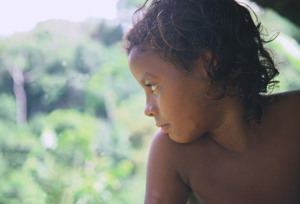 Life Plan in Indigenous Communities of the Amazon: Handbook for diagnosis and participatory planning