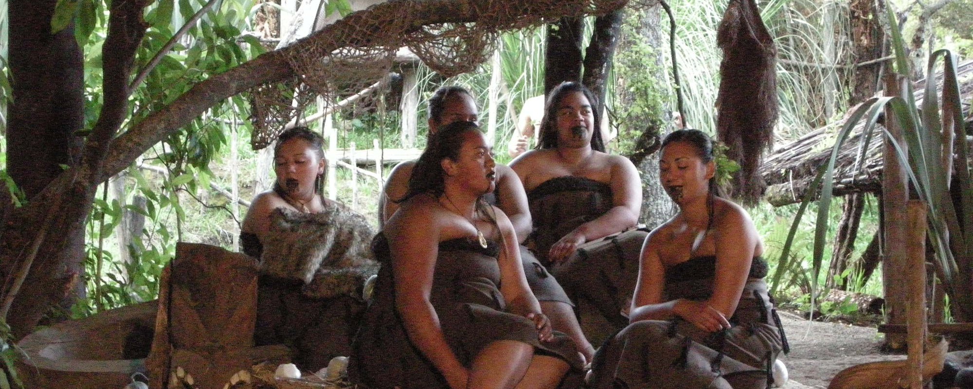 Negotiating "Meaningful Participation" for Indigenous Peoples in the Context of Mining