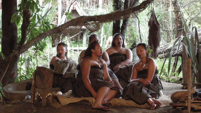 Negotiating "Meaningful Participation" for Indigenous Peoples in the Context of Mining