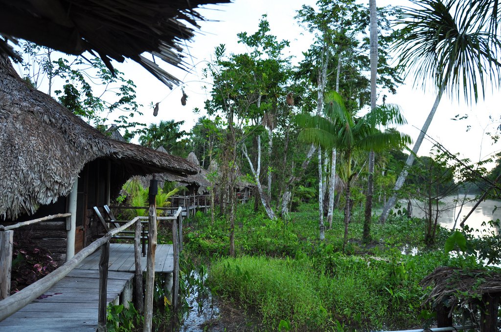 The Orinoco Mining Arc: environment, rentism and violence in southern Venezuela