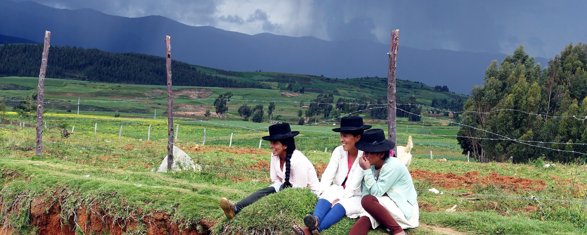 Political participation of native communities and native peoples of Peru