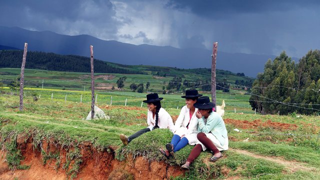 Political participation of native communities and native peoples of Peru