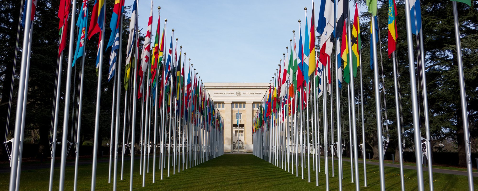 Resolution adopted by the General Assembly on 22 September 2014