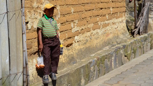 The Right to Free, Prior, and Informed Consent: Indigenous People's Participation Rigths within International Law