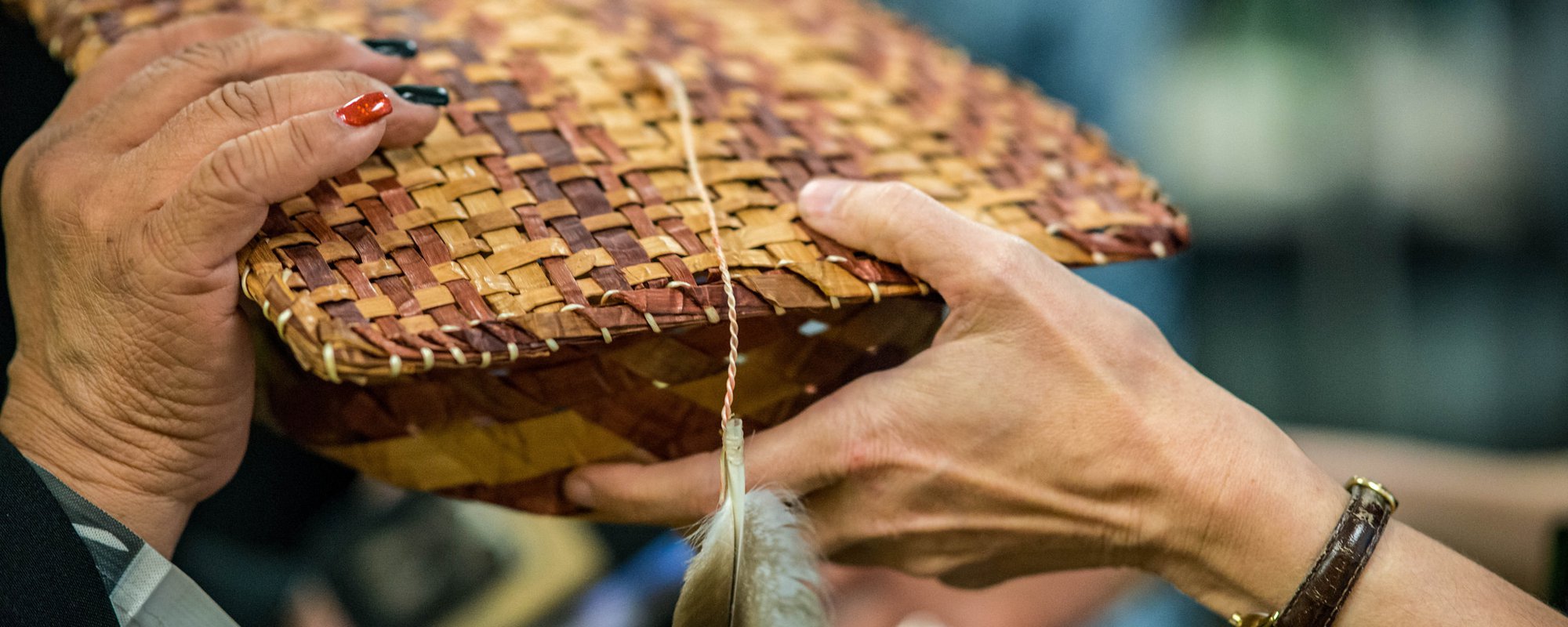 The Right to Prior Consultation of Indigenous Peoples: The Role of Ombudsmen in Latin America. Memory of the Extraordinary Meeting of the Iberoamerican Federation of Ombudsman