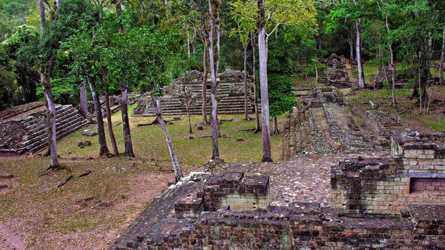 Special Rapporteur's Report on the rights of indigenous peoples on her visit to Honduras