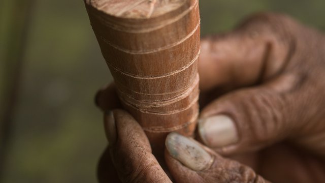 United Nations Declaration on the Rights of Indigenous Peoples