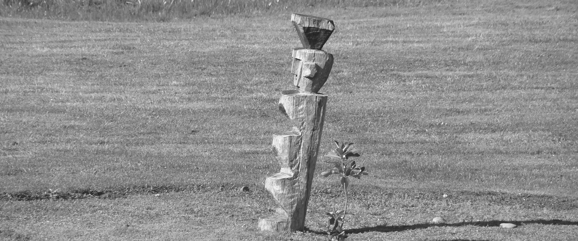 Buen Vivir: Emergent Discourse within or beyond Sustainable Development?