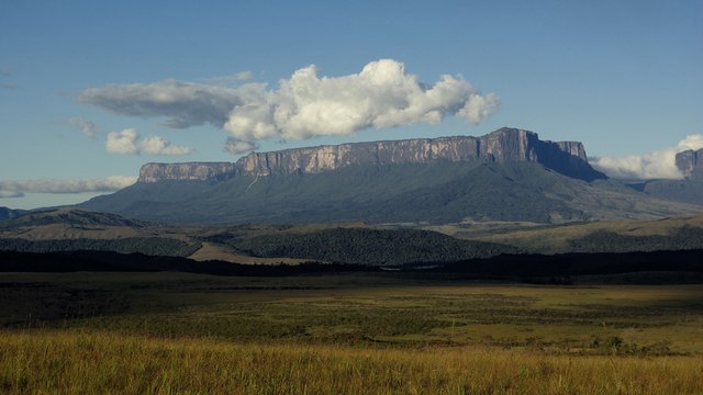 The implosion of Venezuela's rentier state