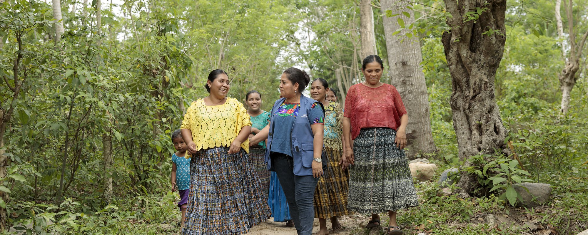 Indigenous Women's Rights and the Inter-American System: A Toolkit on Mechanisms