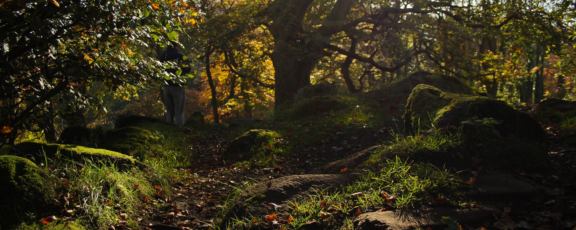 Pachakuti: Indigenous Perspectives, Buen Vivir, Sumaq Kawsay and Degrowth