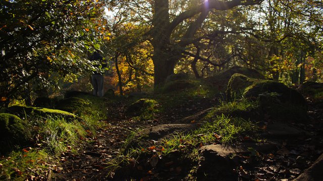 Pachakuti: Indigenous Perspectives, Buen Vivir, Sumaq Kawsay and Degrowth