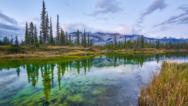 The Paths to Realizing Reconciliation: Indigenous Consultation in Jasper National Park