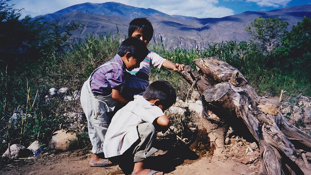 Previous Consultation: Perú