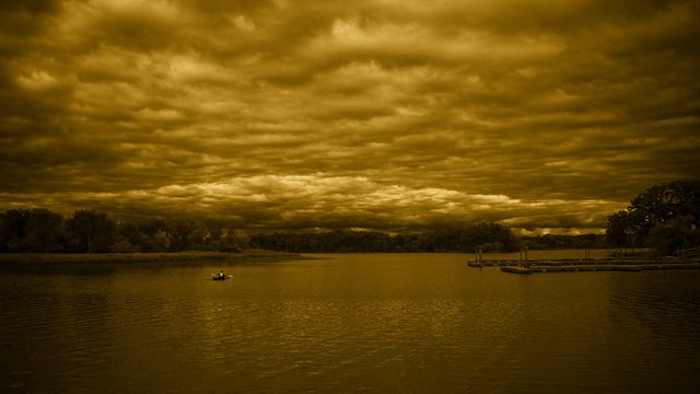 Public Participation in Environmental Assessment and Decision Making