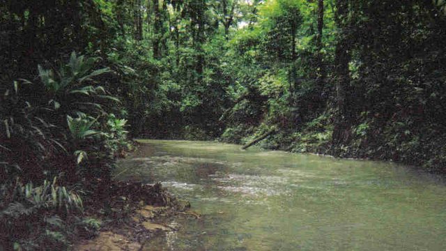 The titling of indigenous territories in the Honduran Muskitia