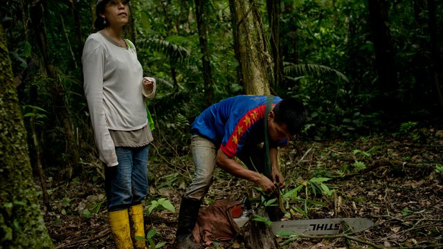 Towards consent: Case Studies and Perspectives on Collaboration Agreements between Companies and Communities in Forest Landscapes